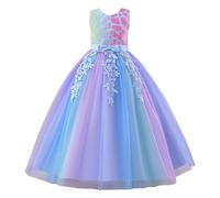 Générique Robe Orientale Robe Tutu Princesse pour Fille avec Motif de Fleurs Arc-en-Ciel.Tutu d'anniversaire pour Fille,représentation sur scène et baptême.