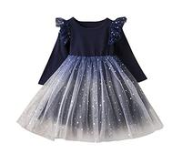 Générique Robe Princesse Enfant Fille,Enfants Filles Dentelle Volants Robe Reconstitution Historique FêTe d'anniversaire Princesse Robe MariéE Douce Et Mode Robe VêTements Costume (Navy 3-4 Years)