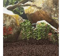 Générique Roches volcaniques 10 kg Rouge 1-2 cm, Roches de Lave Naturelles pour Aquarium d'eau Douce et salée, décoration Centrale colorée, Filtre Biologique améliorant la qualité de l'eau