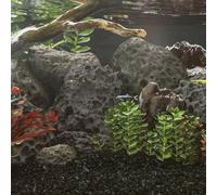 Générique Roches volcaniques 25 kg Noir 10-30 cm, Pierres de Lave Naturelles pour Aquarium d'eau Douce et salée, décoration paysagère et Filtre Biologique améliorant la qualité de l'eau