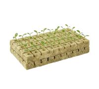 Générique Rock Wool Cubes - 100 Piece Reusable Agricultural Plugs, Hydroponic Seedling Starter, Tower Garden Planting Cubes for Cuttings Clone Cultivation Germination Propagation Rooting Greenhouse