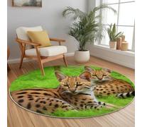 Générique Rond Tapis Poils Courts - 100 cm - Animal Chat Photographie Motifs Résistant Inaltérable Paillassons, Vert Entretien Facile Tapis Poils Courts pour Salon Chambre Descente de Lit