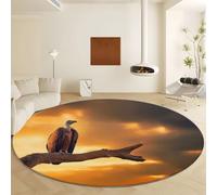 Générique Rond Tapis Salon Orange, Moquette Nature Coucher Soleil Faune Sauvage Vautours - Tapis Chambre de Décoration Poil Ras Paillasson Rond Antidérapant Salle a Manger Chambre Adulte, 210 cm