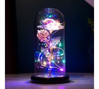 Générique Rose artificielle lumineuse dans dôme en verre lampe à LED avec 3 modes d éclairage Fleur éternelle pour femmes Idéale anniversaire décoration intérieure