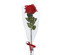 Générique Rose ÉTernelle,Rose sous DôMe Verre avec LumièRe LED Fleur Eternelle Rose Cadeau Unique DéCoration Mariage Cadeau pour Femme Mere Mamie Petite Amie （Bleu）