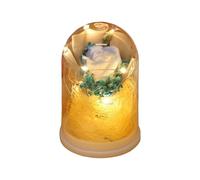 Générique Rose préservée - Présentoir Floral Longue durée, Bouquet enveloppé dans Un Couvercle en Verre | Décoration de Floraison éternelle, Cadeau de illuminé par LED, Ornement de Maison de noël p