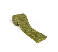 Générique Ruban DE Table Mousse VÉGÉTALE Jute 10CMX2M Vert