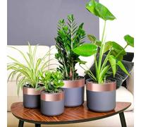 Générique Ruban en Cuivre Double Face 6 pcs 6 pcs Cuivre 2000 x 7 cm,Maison & Jardin,Pelouses & Jardins,Jardinage,Traitement antiparasitaire-42008349