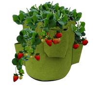 Générique Sac de Culture pour Fraises - Planteur de tomates à l’Envers | Conteneur de Plantation en Feutre Suspendu de 5 gallons, pour légumes, Herbes, Fleurs, Maison, Balcon, Jardin, Patio