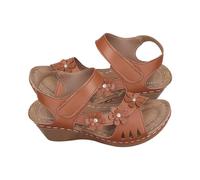 Générique Sandale Orthopedique Femme Chaussure Confortable Dames Décontracté Côté Creux Ceinture Boucle Pente Bas Chaussures Été Femmes Sandales Femmes Sandales Chaussures Éé Femme de (Brown,36)