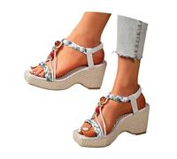 Générique Sandales Sandales élégantes pour femmes pour les sorties décontractées. Design à talon haut et bout ouvert,parfait le printemps et l'été. Paire polyvalente les jeans en denim.(Silver,36)