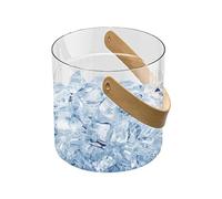 Générique Seau À Glaçons pour Refroidir Vos Bouteilles, Ensembles Seau À Glace avec Poignée, Plastique Transparent Seau À Glaçons PourChampagne pour Bouteille Bar Anniversaires Fêtes Pique-niques