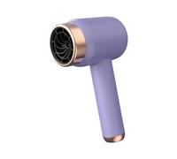 Générique Sèche-cheveux de, Sèche-cheveux Compact Sans Fil, Mini Sèche-cheveux Léger avec Canal D'air Spiralé et Commandes Faciles pour Salon de, VIOLET