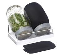 Générique Seed Sprouting Jars, Glass Masons Containers, Sprout Growing Kit