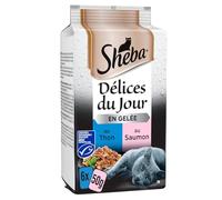 générique Sheba - Repas Gourmand en Gelée au Thon et Saumon, Texture Fondante pour Chat Adulte (6 Sachets) - Le Lot De 4
