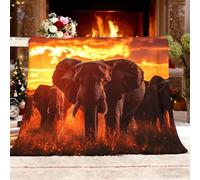 Générique Sherpa Polaire Flanelle Afrique Prairies éLéPhants Famille Chaude Douce Moelleuse Couverture de Lit Couvre-lit Jeté de Canapé Rouge Orangé Couverture Convient Adulte et Enfant XXL 180x200cm