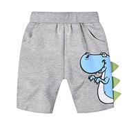 Générique Short Garcon, Short Garçon Dinosaure Motif Animé Pantalon Plage Été Enfant Bas Âge Loisirs Extérieur Confortable Léger