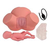 Générique Simulateur de Formation de Sage-Femme Démonstration d'accouchement Modèle de fœtus pelvien féminin Position fœtale Normale et anormale Mannequin d'accouchement Modèle d'enseignement