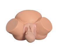 Générique Simulateur de modèle de formation, démonstration d'accouchement grandeur nature, obstétrique, gynécologie, positions fœtales normales et anormales, mannequin de maternité pour l'enseignement
