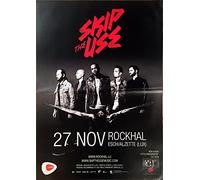 Générique Skip The Use - Tour 2014-60X84Cm Affiche/Poster