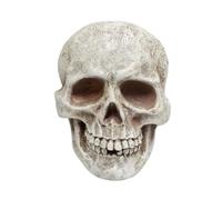 Générique Skull Head Scary Resin Realistic Halloween Decorations