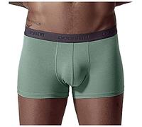 Générique Slip Homme Confortable Slim Slip brève Culotte Solid Color Mid-Waist Soft Briefs Sexy Slip Short(Green,XL)