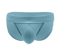 Générique Slip Homme en Modal Respirant Confortable avec Design Échancré pour Quotidien(Blue, M)