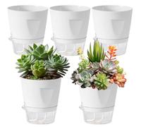 Générique Small Self Watering Pots,5 Pieces Grow Cup Box,11.3x10cm Planter Pot with Water Level Indicator - Effortless Hydration Control for Balcony Patio Deck Porch Garden Yard Indoor Living Room