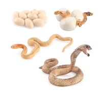 Générique Snake Growth Cycle - PVC Biological Model Toyy | Life Cyclle Figurines Toy Set, Simulation Solid Snakke Growth Cycle Mold Figure Toy, Realistic Snake Ornamnet