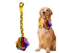 Générique Snuffle Ball, Interactive Soft Foraging Toy, Safe Washable Pet Puzzle Ball, Slow Feeder for Puppies, Indoor/Outdoor Entertainment and Activity Dispenser, Pink, Rainbow