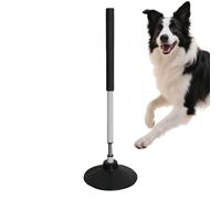 Générique Soccer Sticks for Training - 24 inch Portable Multifunctional Quick Stable Speed Sticks | Soccer Training Speed Poles | for Football Basketball Baseball Dog Practice Use