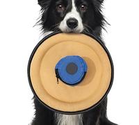 Générique Soft Dog Flying Disc, Indestructible Canvas Pet Toy, Interactive Training Teeth-Friendly, Lightweight and Safe on Teeth with Snack Bag for Outdoor Sports, Fetch Games, 145g