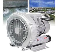 Générique Souffleur Vortex régénératif Haute Pression, monophasé, pour Le soufflage et l'aspiration d'air, idéal pour Les Applications industrielles et commerciales (180 W / 0,24 CV)