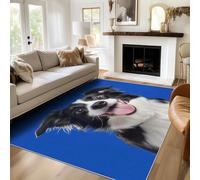 Générique Sourire Chien Tapis 120x170 Lavable, Ultra-Fin Poil Ras Doux Border Collie Moquette Salon, Chambre, Cuisine, Decoration Salle Intérieurs Carpet, Antidérapant