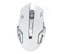 Générique Souris de Jeu, Gamer, récepteur USB, Rechargeable, 600 mAh, 2000 DPi réglable, 2.4G, 6 Boutons, RVB 7 Couleurs, silensieuce (Blanc)