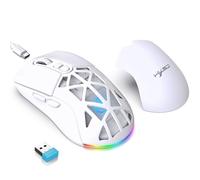 Générique Souris sans Fil, (2.4G/BT5.1+récepteur USB) Rechargeable T26 Dual-Mode Computer Mouse with RGB Backlit, Hollow Out Design for Home Office (Blanc)