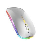 Générique Souris sans Fil Bluetooth, 2,4G, Ergonomique, 7 Couleurs Rétro-éclairées RVB, Connexion USB sans Fil (Argent)