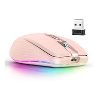 Générique Souris sans Fil Bluetooth Compatible 5.1 +2.4ghz Rechargeable Souris Double Mode 2400dpi Souris De Jeu Optique pour Pc Ordinateur Portable (Rose)