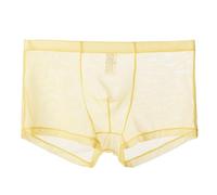 Générique sous-vêtements Fins en Maille pour Hommes Slips à lanières sous-vêtements Semi-Transparents Sexy Transparents Bikini (Jaune,L)