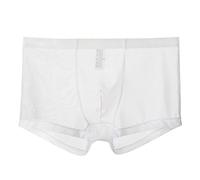 Générique sous-vêtements Fins en Maille pour Hommes Slips à lanières sous-vêtements Semi-Transparents Sexy Transparents Bikini (Blanc,XXL)
