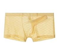 Générique sous-vêtements pour Hommes Ultra-Thin Mesh Respirant sous-vêtements Elephant Nose Trunk Transparent Sexy Sheer Boxer Shorts (La Peau,M)