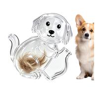 Générique Souvenir Commémoratif en Poils De Chien Magnétique Sympathie Chat