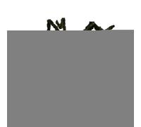 Générique Spider Decorations - Spider Decorations, Spider Web Decoration | Spider Web with Realistic Spider Web Decoration, Spiders Sets for Indoor and Outdoor Decorations Haunted House