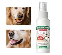 Générique Spray Chien Nettoyage sans Brossage Animaux