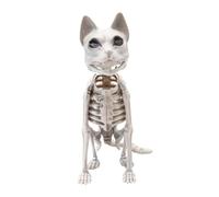 Générique Squelette de Chat réaliste | Statue modèle réaliste et effrayante | Squelette de Chat d'halloween | pour intérieur, extérieur, Bureau, étagère, bibliothèque, cimetière, Maison, Jardin