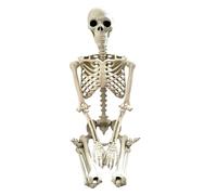 Générique Squelette d'halloween - Corporel Complet Réaliste | Humain Grandeur Nature avec des Articulations Halloween Posable Skeleton Ideas for Haunted House Yard Decor Party AFF