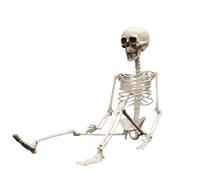 Générique Squelettes pour Halloween, 2 Pieds Posable Squelette - Human Os Bone Pliable Skull Accessoires Statues Favors for Office Kids Women Decor Decor Holiday Party Yard