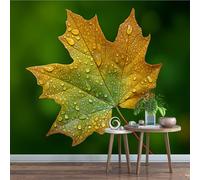 Générique Sticker mural haute qualité Feuilles Autocollant Mural 500 x 280 cm Gouttelettes D'eau Girafe Déco murale autoadhésive Pour Chambre Salon Enfants Bébé Pépinière