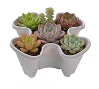 Générique Strawberry Tower - Vertical Stackable with Secure Drainage, Strawberry Flower Pots Tower | for Garden, Farm, Patio, Balcony, Lawn, Home, Apartment