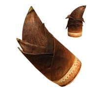 Générique Stuffed Plants Toys, Cute Plush Throw Pillow, Soft Collectible Model, Decorative Cushion, Ideal for Kids' Rooms, Study Shelf, Bed, Sofa, Home Display, 15.75 inches, Brown